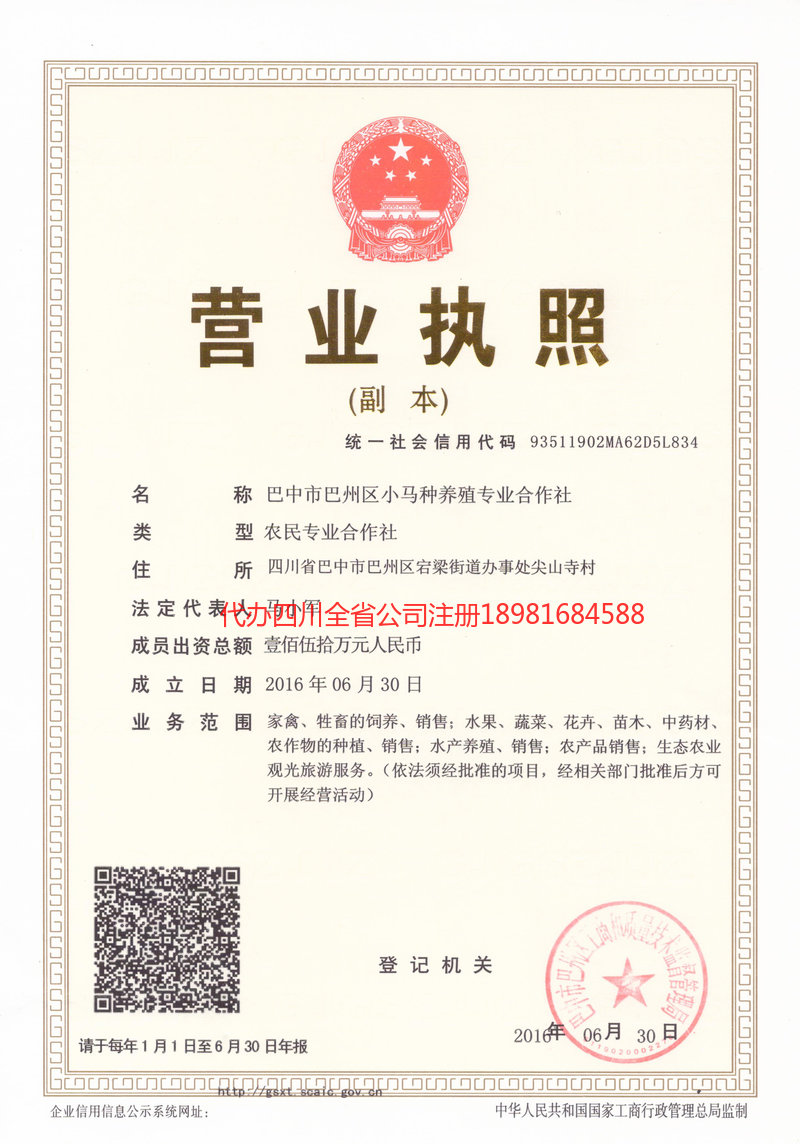 瑞丽瑞丽小马种养殖专业合作社